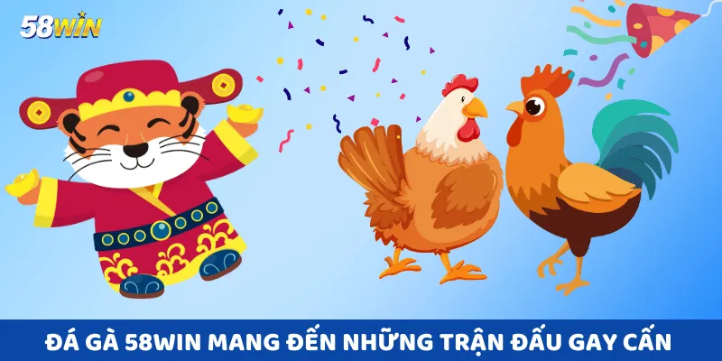 Đá Gà 58win mang đến những trận đấu gay cấn và kịch tính bậc nhất.
